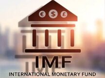 What is the International Monetary Fund's (IMF) plan for international crypto governance?