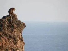 比特币跌破 6.1万，钻石手、鲸鱼纷纷开始高位卸货，4小时内爆仓 1.4 亿美元