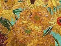 一篇文章带你简单了解波卡