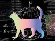 Curve Wars没有结束，流动性的终极解决方案应该是薛定谔的猫的状态