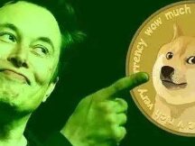 Why support Dogecoin instead of Bitcoin? Musk Description
