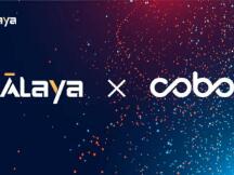 Cobo宣布正式支持PlatON元网络Alaya
