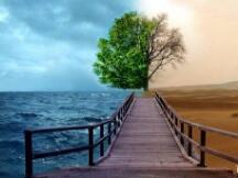 疯狂过后，DeFi会活下来吗？