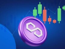 Bug Finance——Polygon上ve(3,3)模型的又一尝试