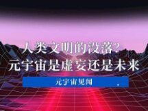 人类文明的没落？元宇宙是虚妄还是未来