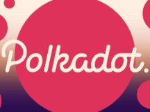 如何验证一个 Polkadot 生态项目？查看官方建议