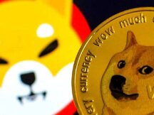 理解 Meme 经济的兴起