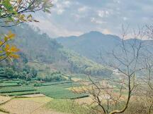 对话NGC蔡彦：从机制创新到价值沉淀，评析DeFi产品发展逻辑