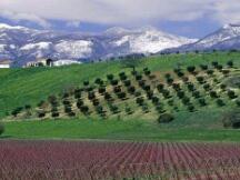 比特币市值占比再创新低，市场短期内可能面临调整