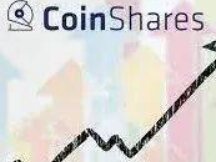 美 ETF 绿灯引爆机构投资者热情，比特币主宰市场