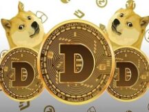 0.01%的投资者持有82%的DOGE总供应量