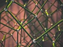 Pantera合伙人：自动调整供应量的AMPL是更好的比特币