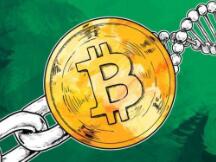 龙头回调，垃圾补涨，一波结束还是下一波开始？