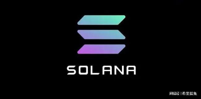 山寨币大幅上涨，Solana 飙升 17.04%