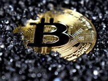 那些ALL IN 加密货币的年轻人