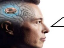 马斯克旗下 Neuralink「植入大脑晶片」获准人体实验，最强元宇宙来了？