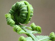 加密VC内卷录：一场没有尽头的饥饿游戏