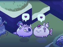 元宇宙概念持续升温，Axie Infinity已凭借近8亿美元季度收入“一骑绝尘”