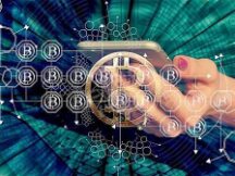 最“懂”加密交易的仓鼠过世 投资回报超巴菲特