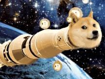 韭菜崛起—狗狗币吸引Wallstreetbets关注，一小时暴涨50%