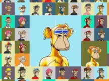 2022年最值得关注的10只NFT股票