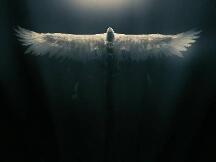 POFID DAO在现实世界的价值捕获远超Maker DAO？