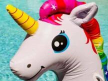 UNI狂欢背后：无法被分叉的用户