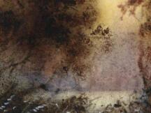 比特币突破历史新高！当前位置是终点还是起点？