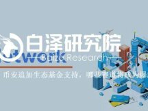 专访 Oasis：Web3 时代下的「隐私」万花筒