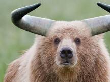 数据说话：现在是牛市还是熊市？