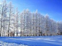 ETH继续创新高，Uni被V神点名赋能