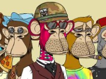 纽约客：「无聊猿」BAYC 头像为何能席卷世界