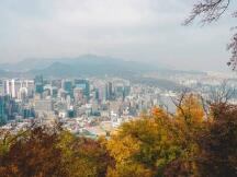 韩国加密图鉴：最爱BTC和XRP，ETH和DeFi不太火