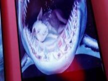 NFT价格下滑 市场过热结束？