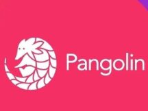 玩转雪崩生态第一站：Pangolin穿山甲去中心化交易所