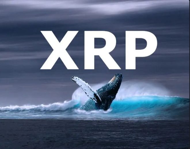 XRP 鲸鱼开始疯狂增持，这会引发价格上涨吗？