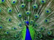 工作量证明概念