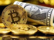 比特币未来涨到哪