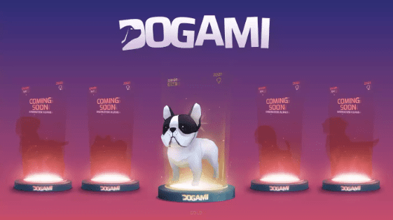 打金、跑步，GameFi下一个起爆点会是以Dogami为代表的宠物养成类吗？