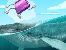 自4月份以来，17%的地址抢购了以太坊上超过80%的NFT