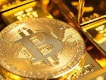 随着活跃钱包数量激增，散户投资者大量囤积比特币