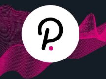 What is the new face of the first round of the Polkadot game project?