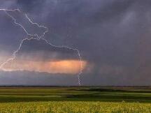 YFI有可能成为DeFi之王，甚至是万币之王