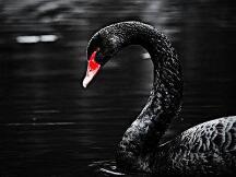 OKEX黑天鹅引发暴跌行情，抄底还是跑路？