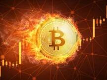 普涨行情可否持续 还有继续抄底么