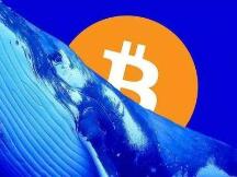 本周市场在恐慌中开始，但比特币、股票仍在复苏