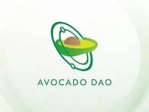 Avocado Guild，通过独具特色的P2E打开Web3世界的大门