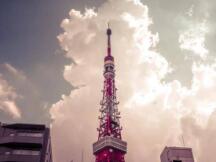 特斯拉暴跌10%，比特币暴跌20%，抱团泡沫开始破灭？