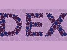 DEX九月交易量持续上升，已接近150亿美元