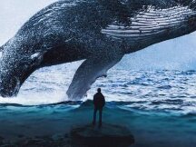 日收益近500万，这些DeFi巨鲸和投资机构都持有哪些资产？